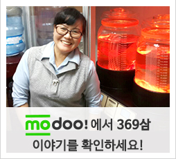 369삼 이야기