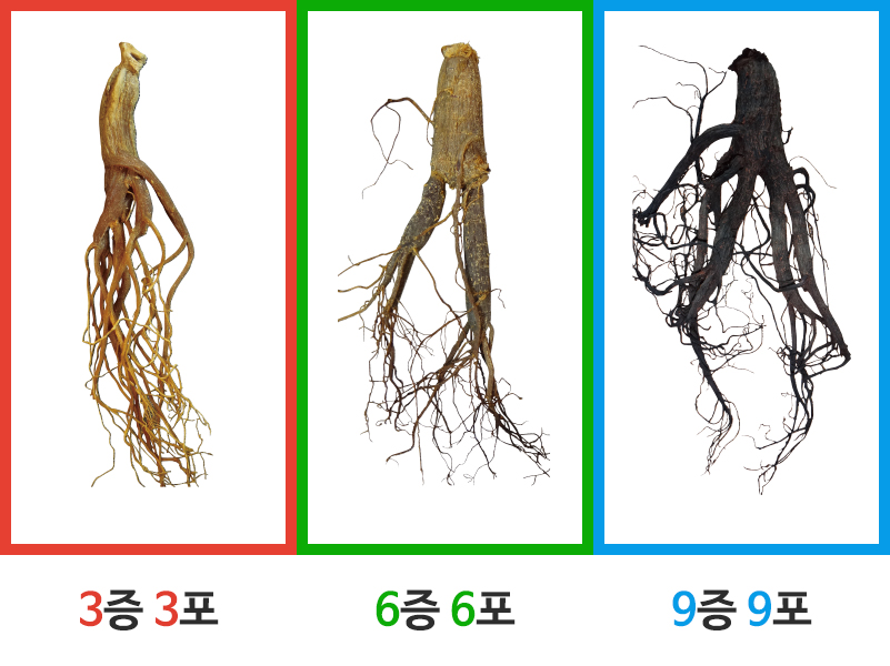 369삼이란?